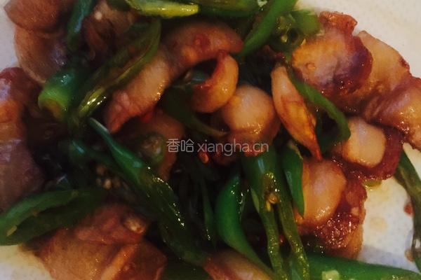 青椒小炒肉的做法图解10