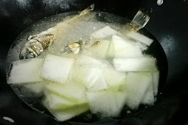 冬瓜鲫鱼汤的做法图解6