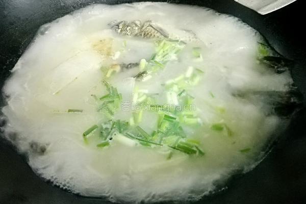 冬瓜鲫鱼汤的做法图解7