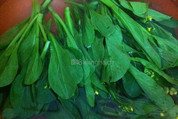 葱油菜心的做法图解1