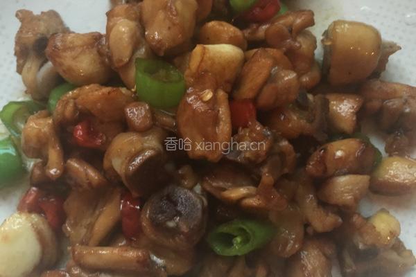 生炒鸡的做法图解9