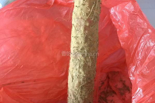 高压锅大骨头山药汤的做法图解2