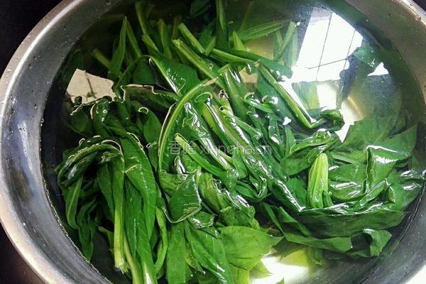 苦麦菜汤的做法图解4