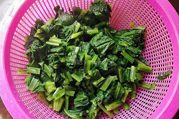 苦麦菜汤的做法图解5