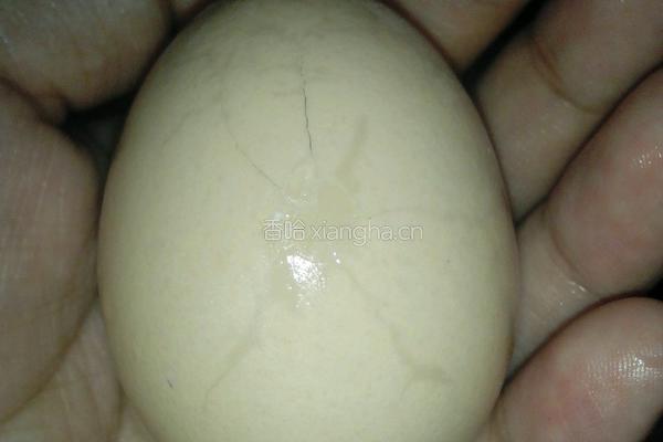 虾仁蛋炒饭的做法图解2