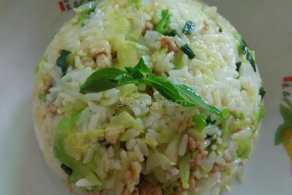 焖包菜饭的做法图解6