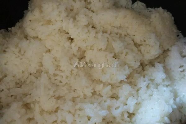 焖包菜饭的做法图解1