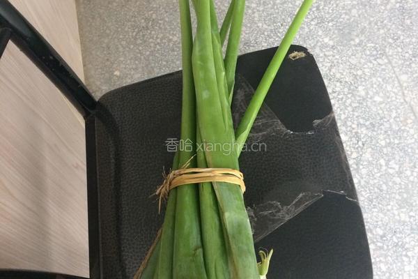 清炒白芋梗的做法图解1