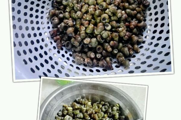 炒田螺的做法图解4