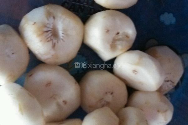 马蹄爽的做法图解1