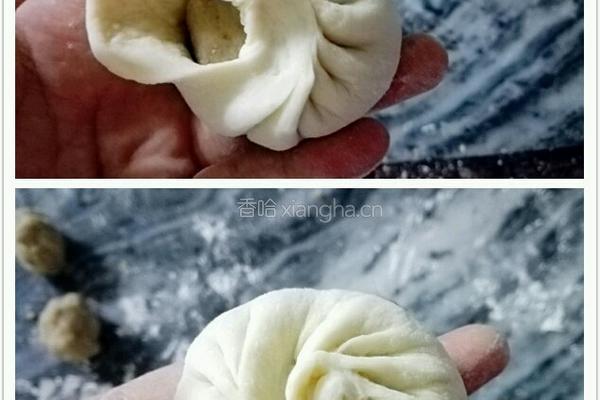 莲蓉包的做法图解10