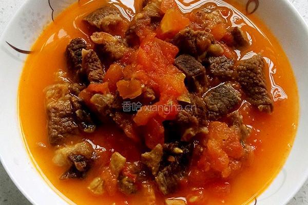 西红柿炖牛肉的做法图解7