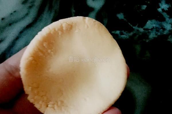 自制胡萝卜味汤圆的做法图解10