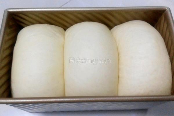 经典奶香土司的做法图解10