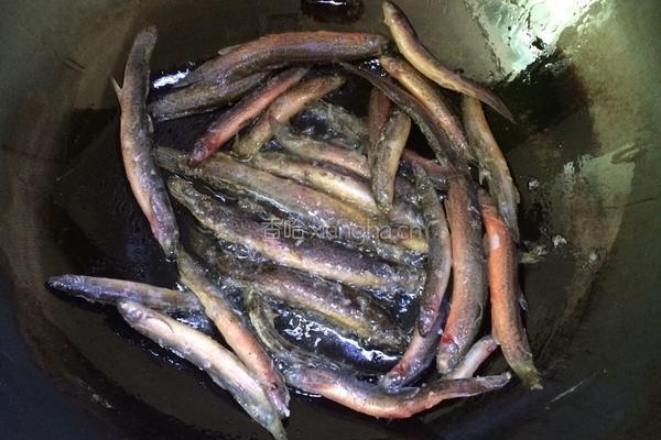 泥鳅焖豆腐的做法图解6