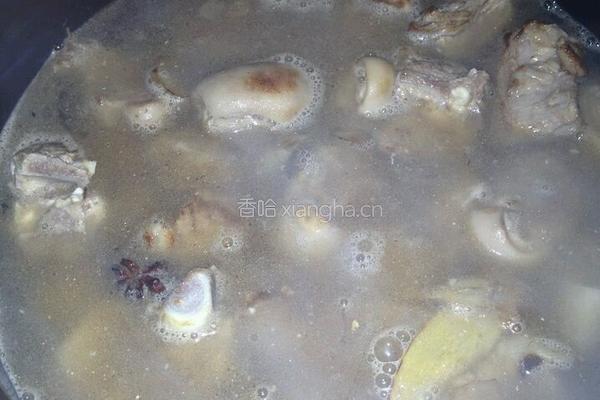 红焖羊肉的做法图解6