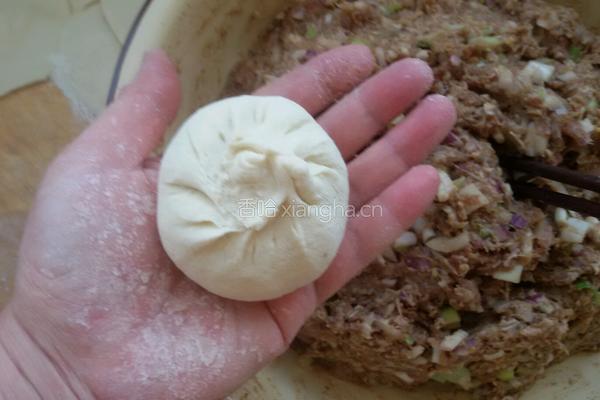 洋葱羊肉包子的做法图解5