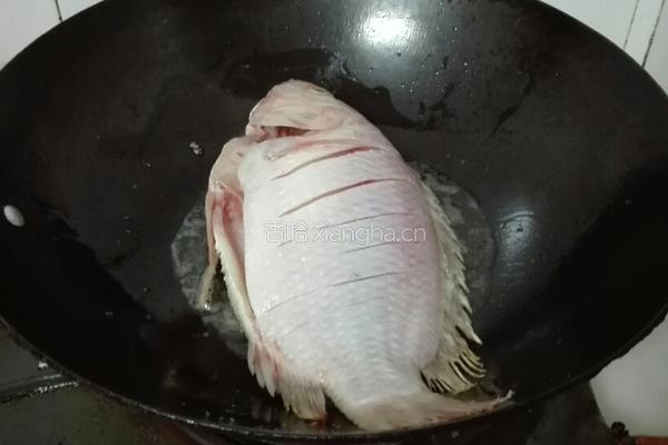 煎罗非鱼的做法图解3