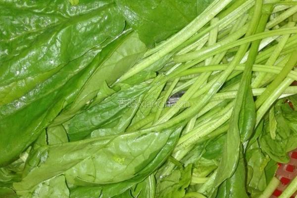 玉米菠菜丸子汤的做法图解7