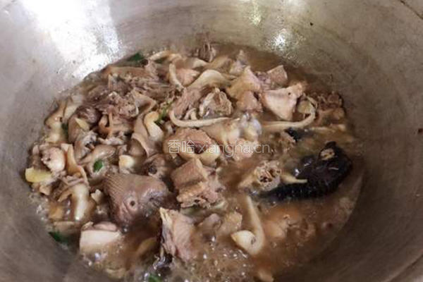 平菇土鸡汤煲的做法图解5