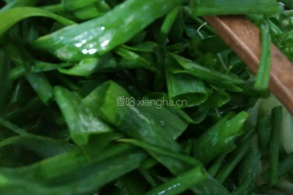 葱炒洋瓜丝的做法图解2