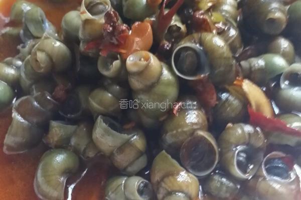 酱香螺蛳的做法图解5