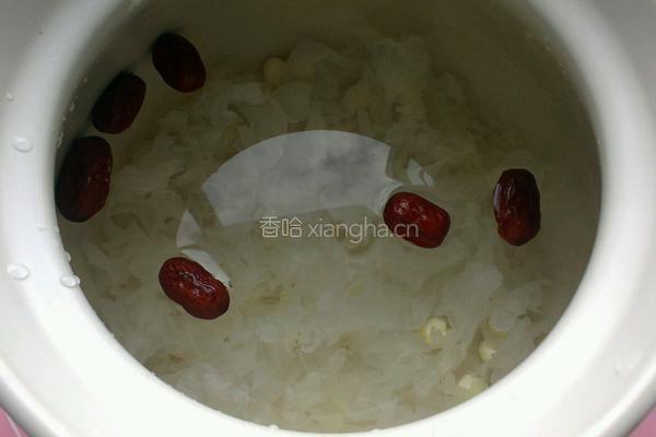 雪菊银耳羹的做法图解5