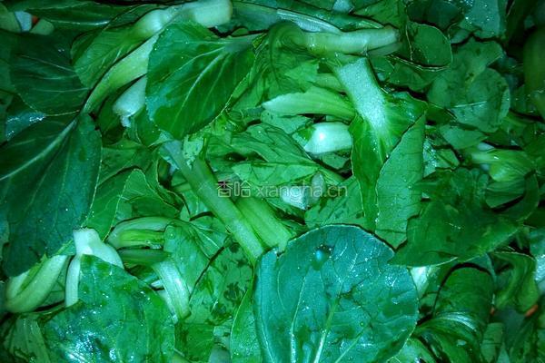 青菜炒河粉的做法图解1