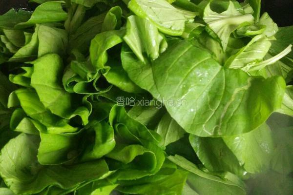 蘑菇炒小白菜的做法图解7