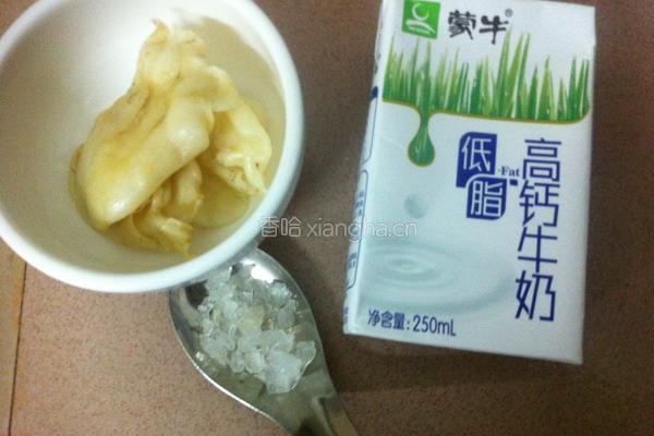 牛奶炖花胶的做法图解1
