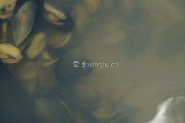 蒜蓉蒸青蚝的做法图解1