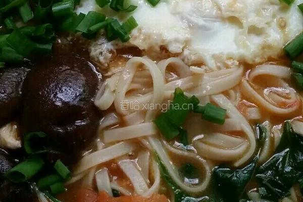 没肉的营养面的做法图解7