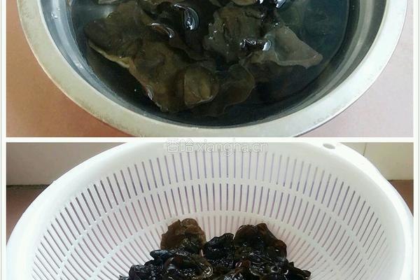 香葱木耳杏鲍菇的做法图解5