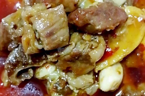 红烧牛肉面的做法图解4