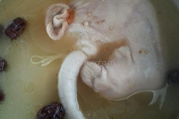 药膳猪肚鸡的做法图解5