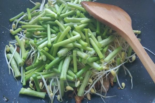 蒜苔焖面的做法图解5