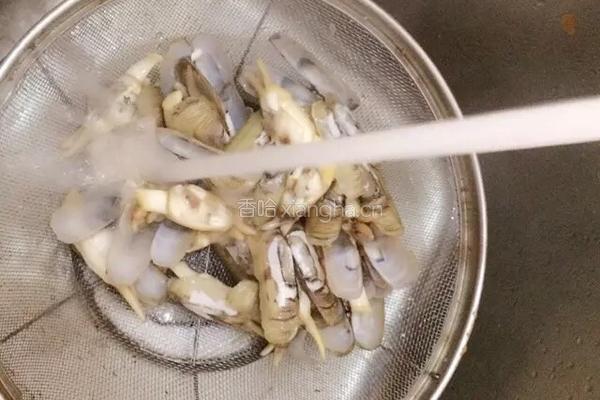 黑椒海蛏的做法图解2