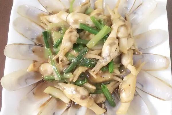 黑椒海蛏的做法图解10