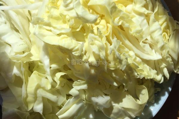 圆白菜素炒面的做法图解2