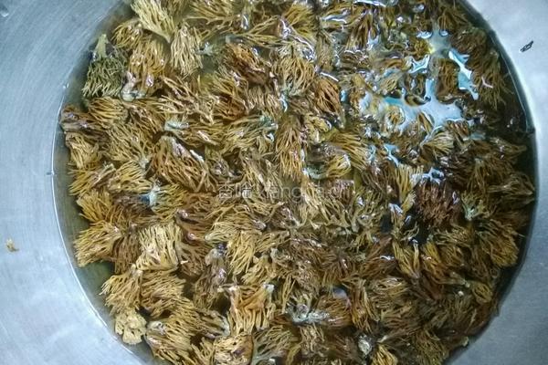 扫帚蘑炒土豆片的做法图解1