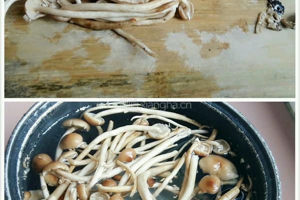 茶树菇炒肉的做法图解3