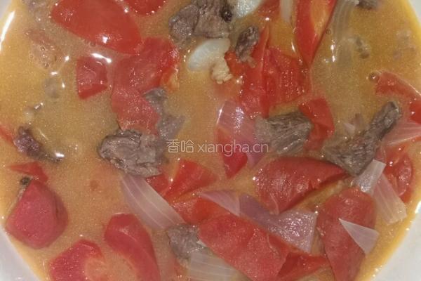 牛肉胡萝卜番茄汤