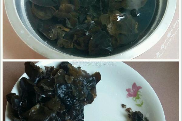胡萝卜木耳排骨汤的做法图解6