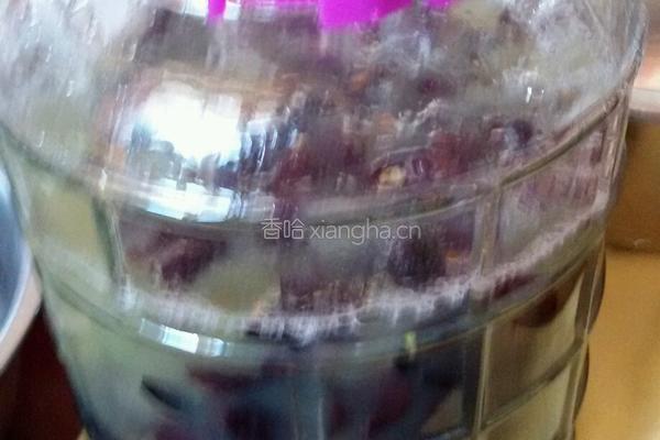 自制葡萄酒的做法图解11