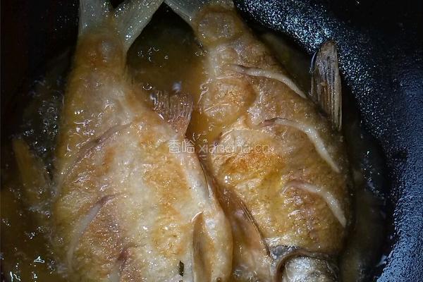 豆瓣酱烧鲳鱼的做法图解4