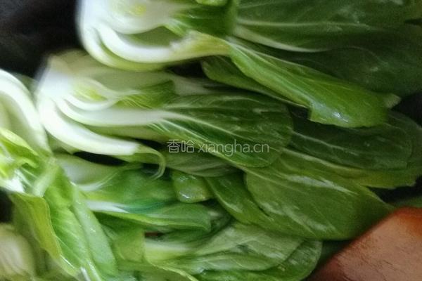 青菜烧豆付的做法图解9