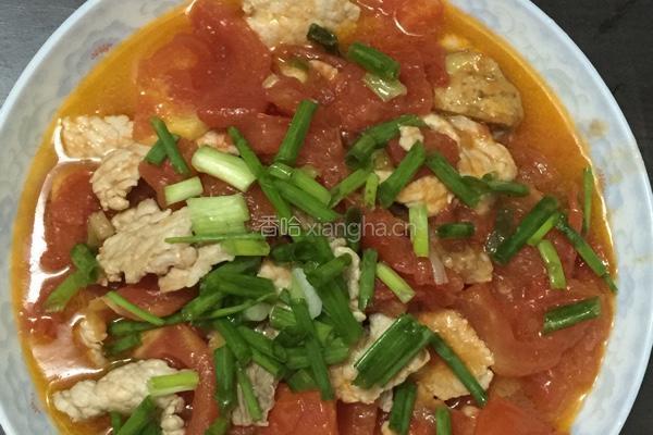 番茄炖瘦肉的做法图解6
