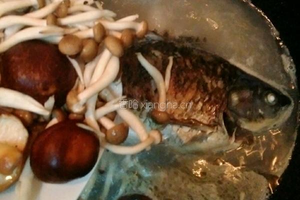 蟹味鲫鱼汤的做法图解9