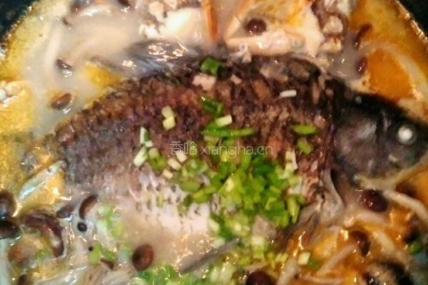 蟹味鲫鱼汤的做法图解13