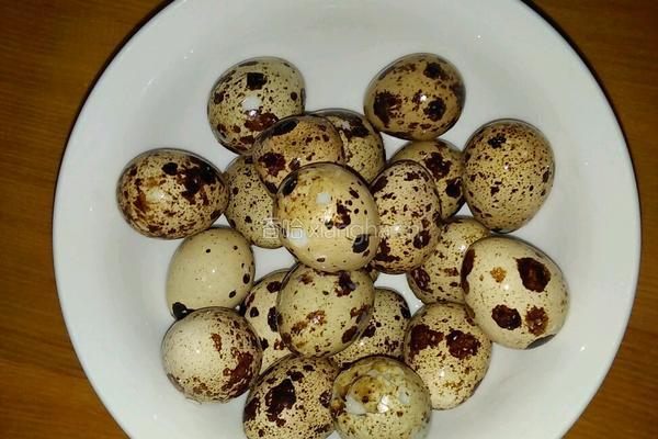 鹌鹑蛋鱿鱼红烧肉的做法图解3